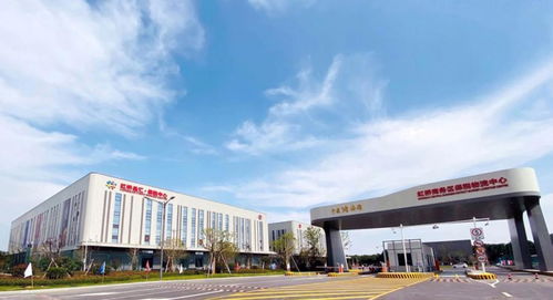 外貿(mào)淺表開(kāi)采將結(jié)束，繁花中的上海老外貿(mào)轉(zhuǎn)型開(kāi)拓企業(yè)信用調(diào)查新生意